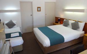 Halls Gap Motel twin room image