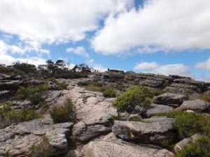 View from the Pinnacle